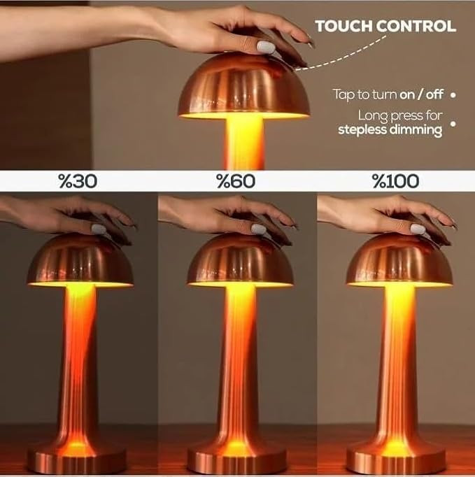 چراغ رومیزی قابل شارژ با آباژور تزئینی