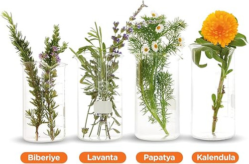روغن مراقبت از پوست ضد کشش بایو اویل