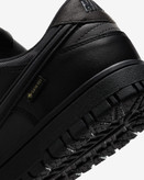 کتونی روزمره کفش مردانه Nike Dunk Low GORE-TEX برند Nike (نایک)