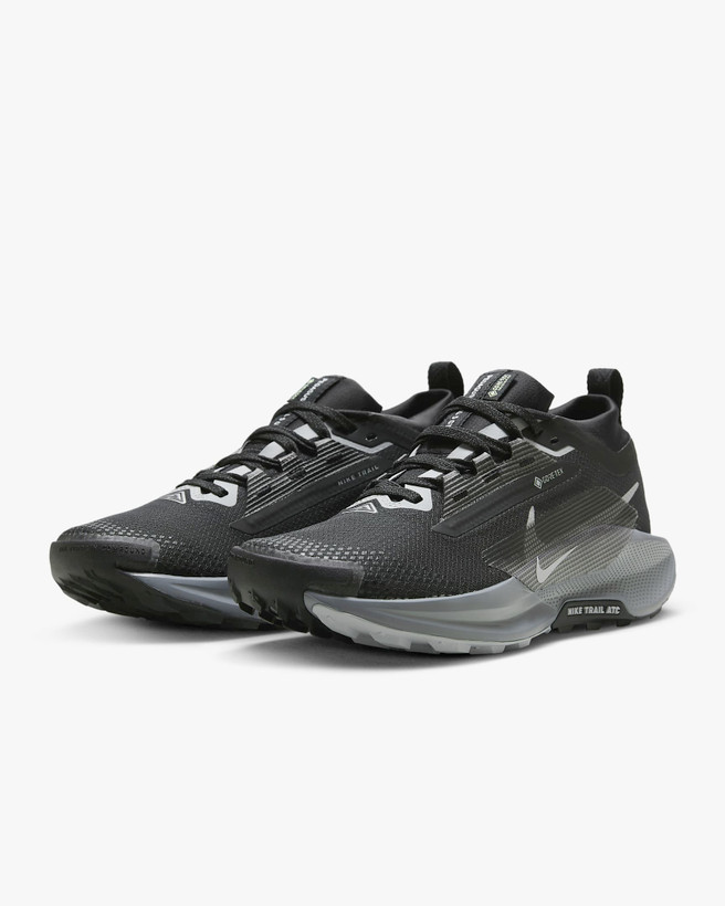کتونی روزمره کفش مردانه Nike Pegasus Trail 5 GORE-TEX برند Nike (نایک)