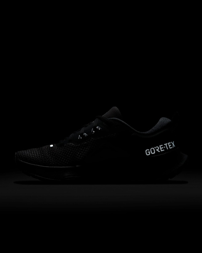 کتونی روزمره کفش مردانه Nike Juniper Trail 2 GORE-TEX برند Nike (نایک)