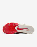 کتونی روزمره کفش مردانه Nike Zoom Rival Jump برند Nike (نایک)